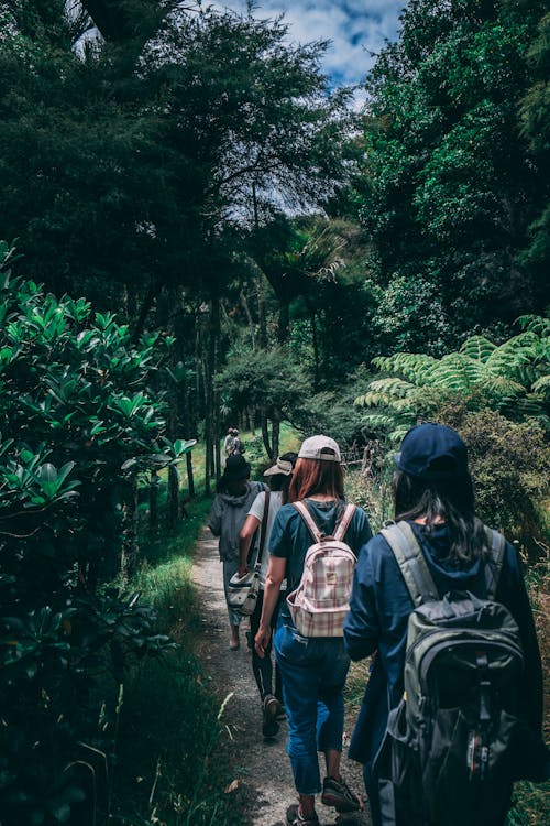 People Wearing Backpacks Walking on Pathway Near Green Leaf Plants