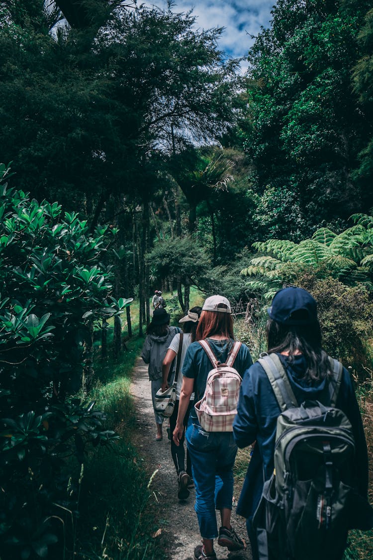 People Wearing Backpacks Walking On Pathway Near Green Leaf Plants