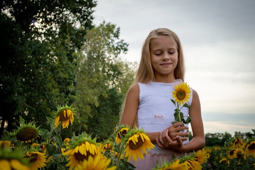 A Girl in White Dress Holding a Sunflower