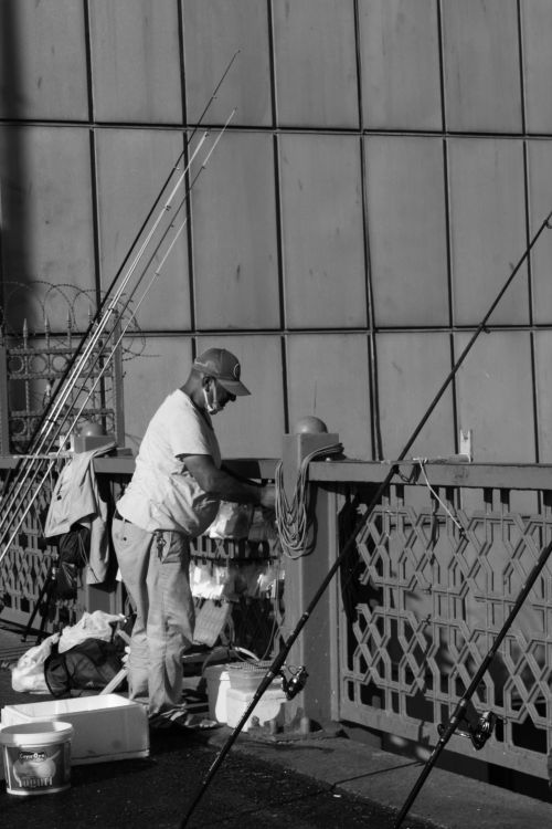 Free A man engaged in urban fishing, standing by a metal railing with multiple fishing rods in a monochrome city setting. Stock Photo