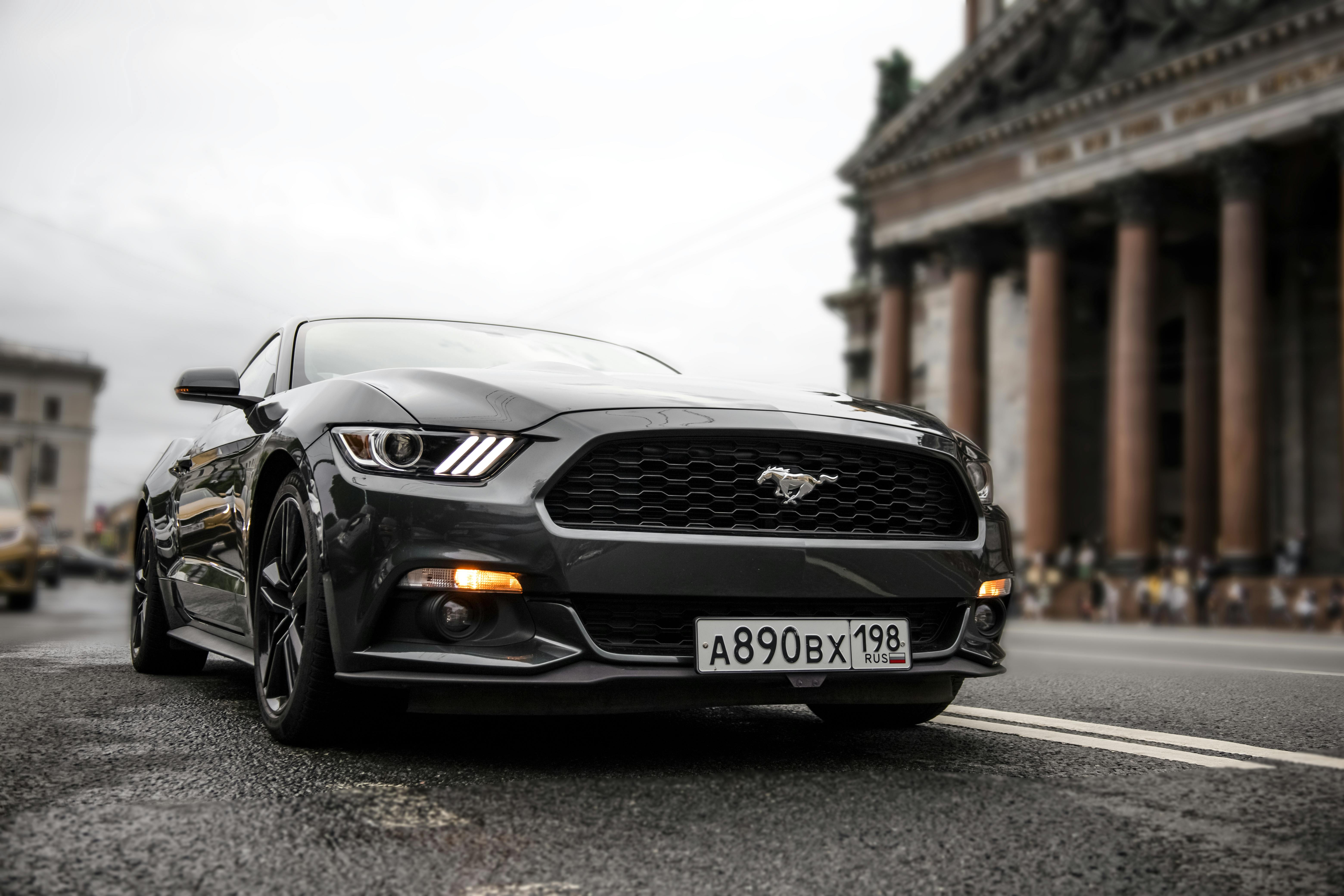 Discover the Best Ford Mustang Car MP5 Display