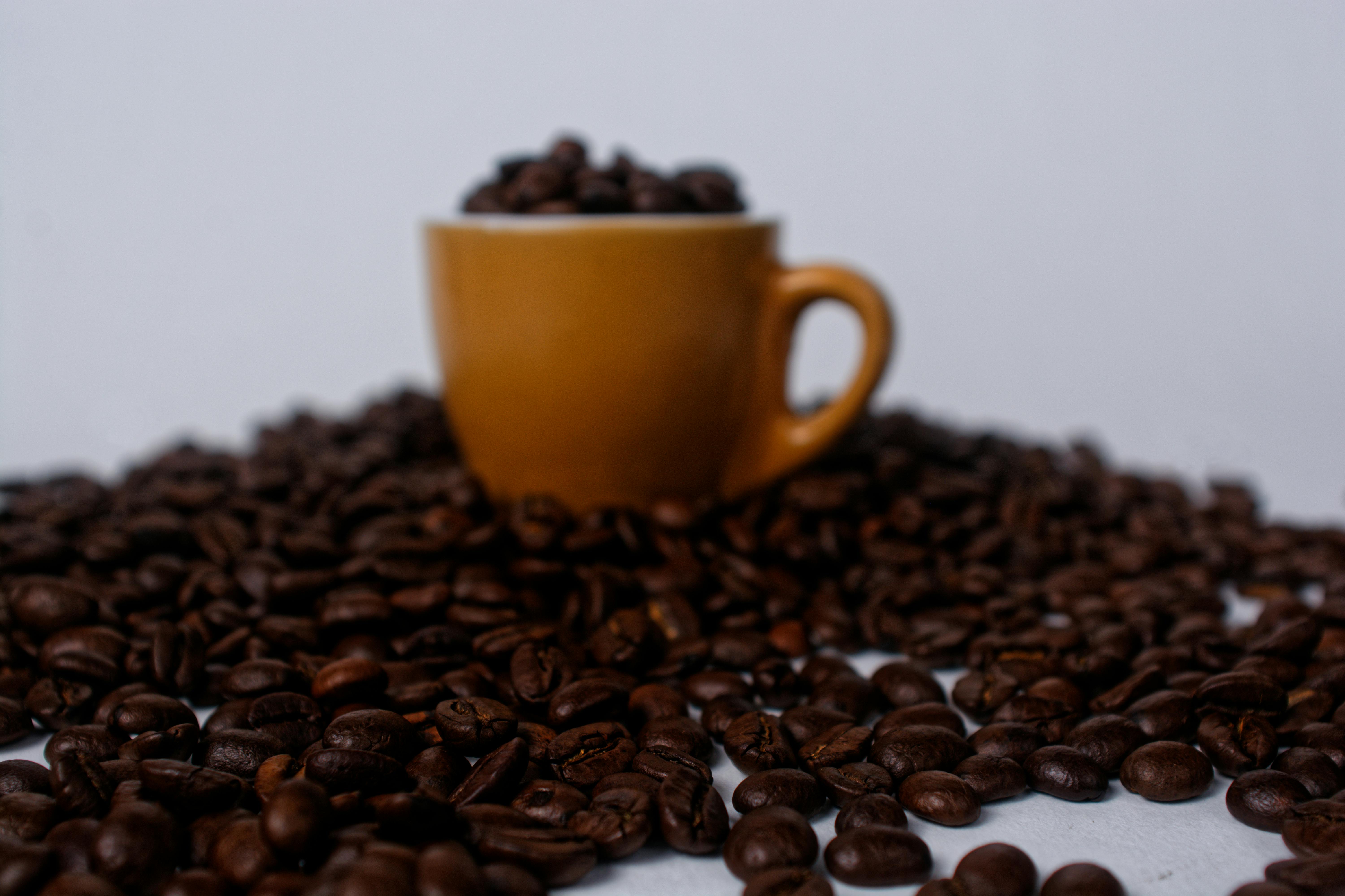 Coffee Tips You Shouldn't Ignore 1