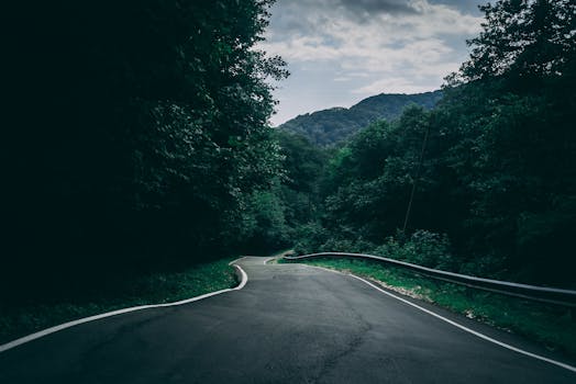 A tranquil curved road leading through dense green forest under a cloudy sky, perfect for nature lovers.