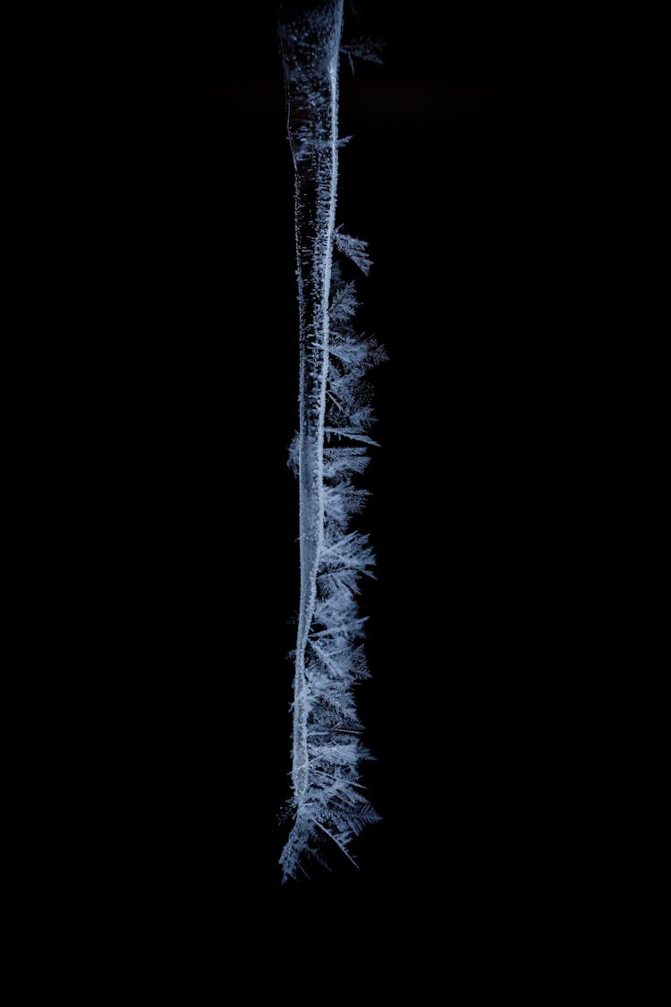 Close-up Of An Icicle On Black Background 