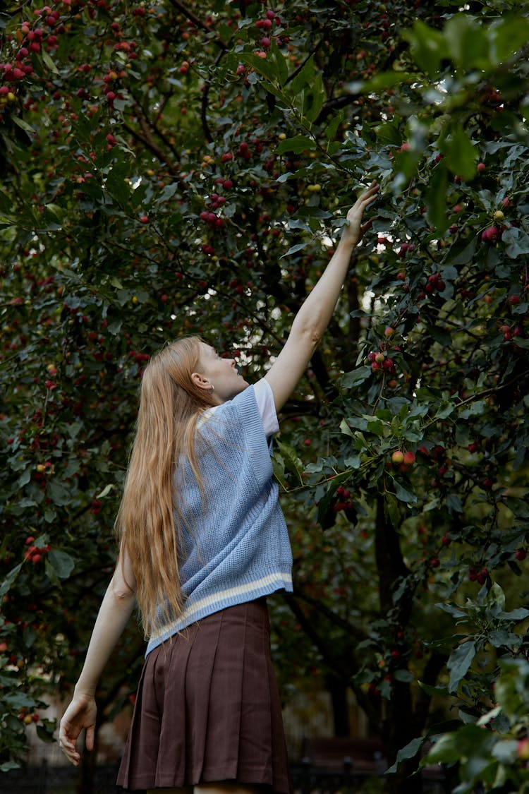 Woman In Brown Skirt Picking A Red Fruit