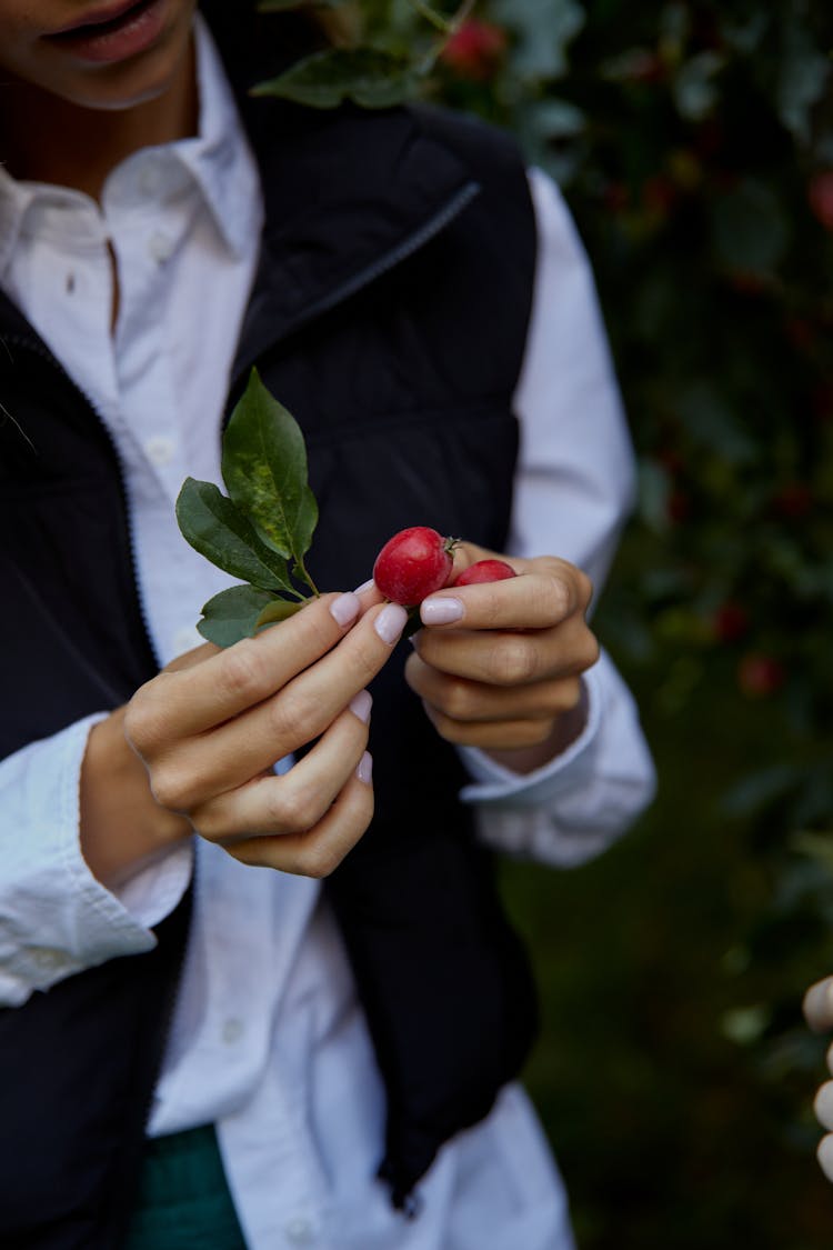 Person Holding Red Round Fruits