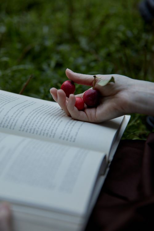 Free Close-up image of a hand holding cherries above an open book, set outdoors against grass. Stock Photo