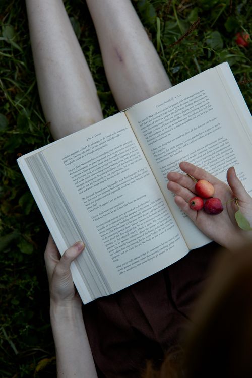 Free Person reading an open book outdoors, holding red berries, surrounded by grass. Stock Photo