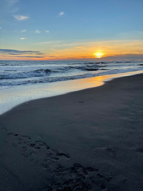 Waves Crashing on the Shore during Sunset