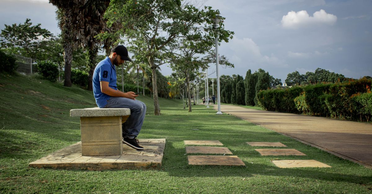 person sitting on a park bench looking at the sky with no phone in hand, natural lighting, peaceful expression