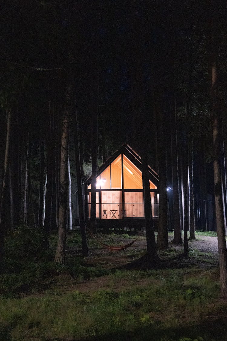 Photo Of A Cabin In The Woods During The Night