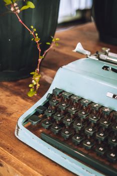 A nostalgic vintage blue typewriter rests on a wooden table, paired with a fresh green plant.