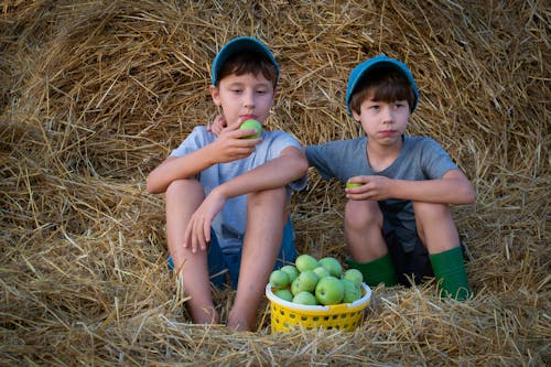Boys Wearing Caps Sitting on Hay