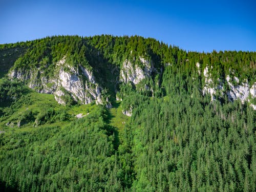 Gratis stockfoto met bergen, blauwe lucht, bomen Stockfoto