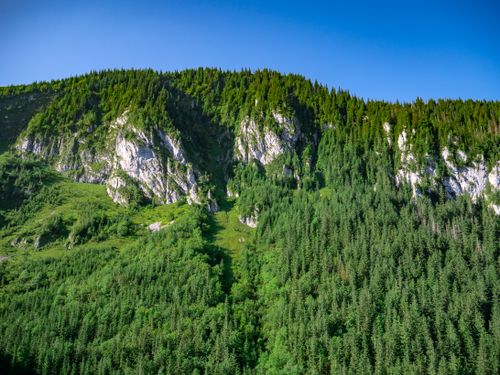 Free Vibrant summer view of rugged Tatra mountains with evergreen forests, under clear blue skies. Stock Photo