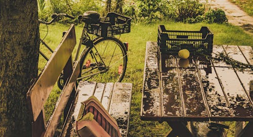 Gratis lagerfoto af cykel, græs, regn