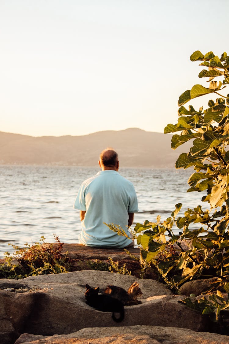 A Back View Of A Man Sitting While Looking At The View