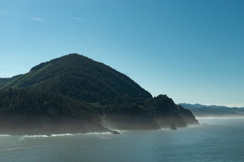 Trees on Mountain Beside Body of Water