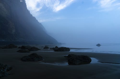 Foto profissional grátis de água, alvorecer, areia