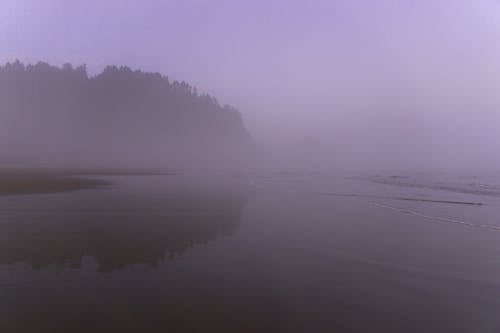 Fotos de stock gratuitas de cielo, con neblina, con niebla