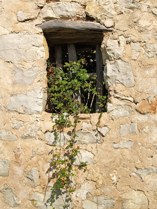 Foto d'estoc gratuïta de finestra, marc de fusta, mur de pedra