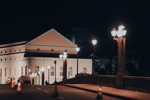 Light Posts Near Building During Night Time 