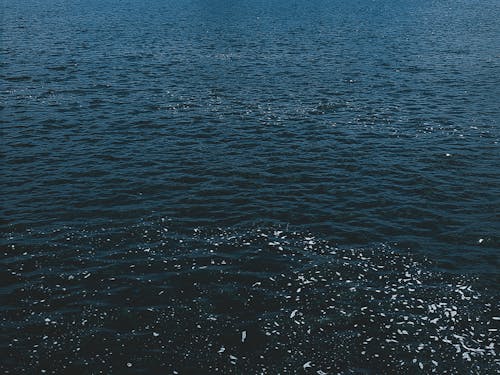 Immagine gratuita di acqua, mare, oceano