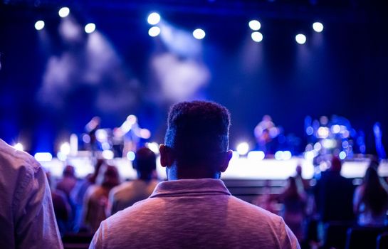 Back view of a diverse audience enjoying a live concert under stage lights indoors.