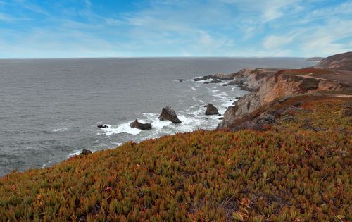 Free Breathtaking view of Bodega Bay coastline with rocky cliffs, lush grass, and ocean waves. Stock Photo