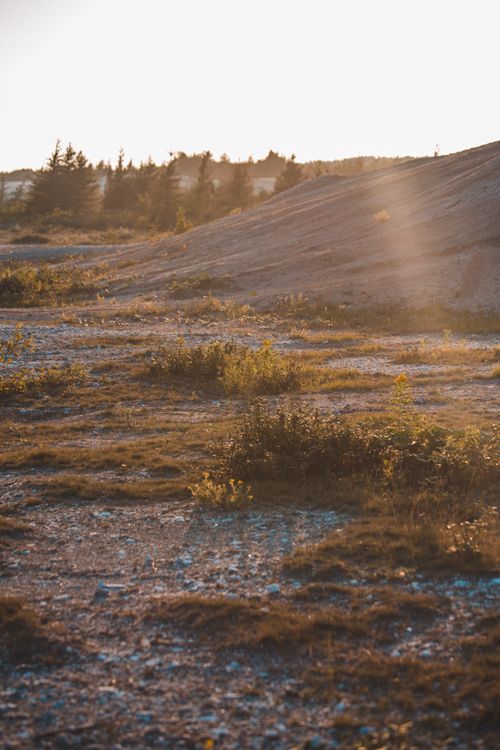 Free Beautiful countryside landscape with sunlight and slopes, perfect for nature enthusiasts. Stock Photo
