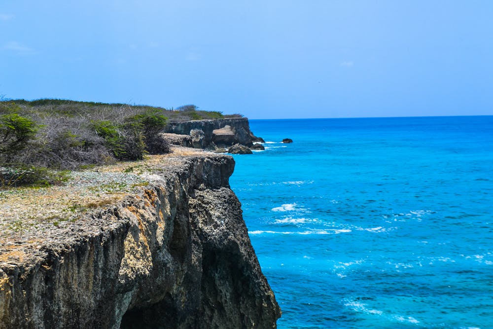 Blue Curacao Cheesecake