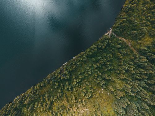 Free Stunning aerial view showcasing lush green forest beside a serene blue lake, captured in daylight. Stock Photo