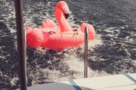 Pink Inflatable Flamingo Being Pulled on Water