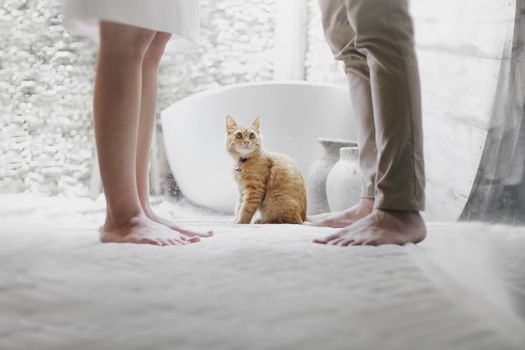在一个优雅的室内空间里，两个赤脚的人之间有一只好奇的虎斑猫
