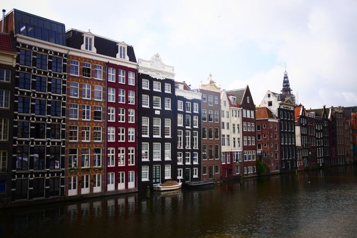 Netherlands experience