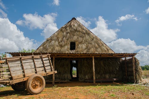 A Farm House Made of Straws
