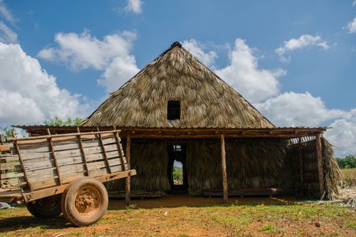 Free Traditional Cuban farmhouse with thatched roof and rustic cart under a bright blue sky. Stock Photo