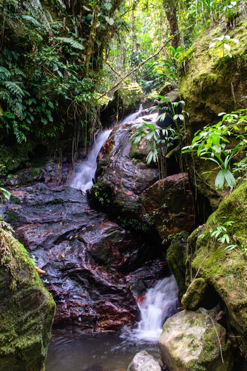 Free stock photo of nature photography, waterfall