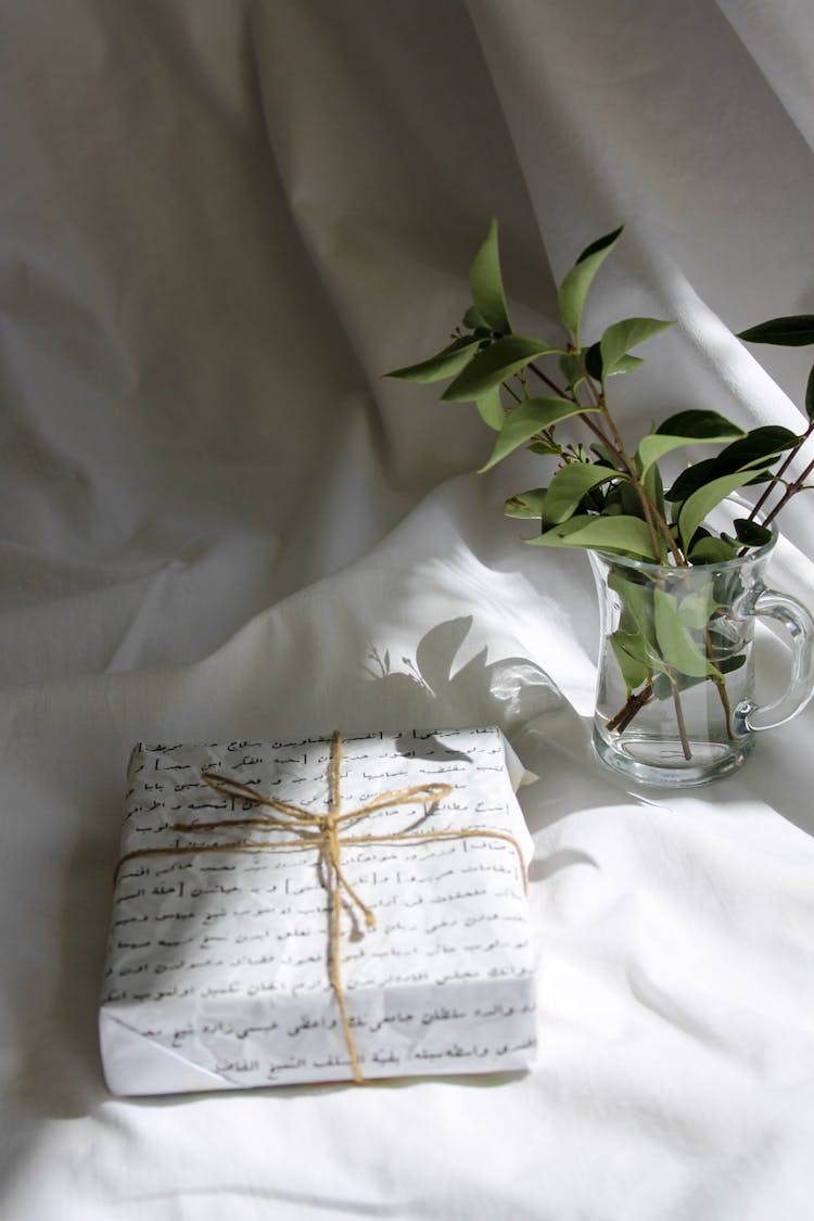 Gift Box Beside Green Leaves On Glass Vase