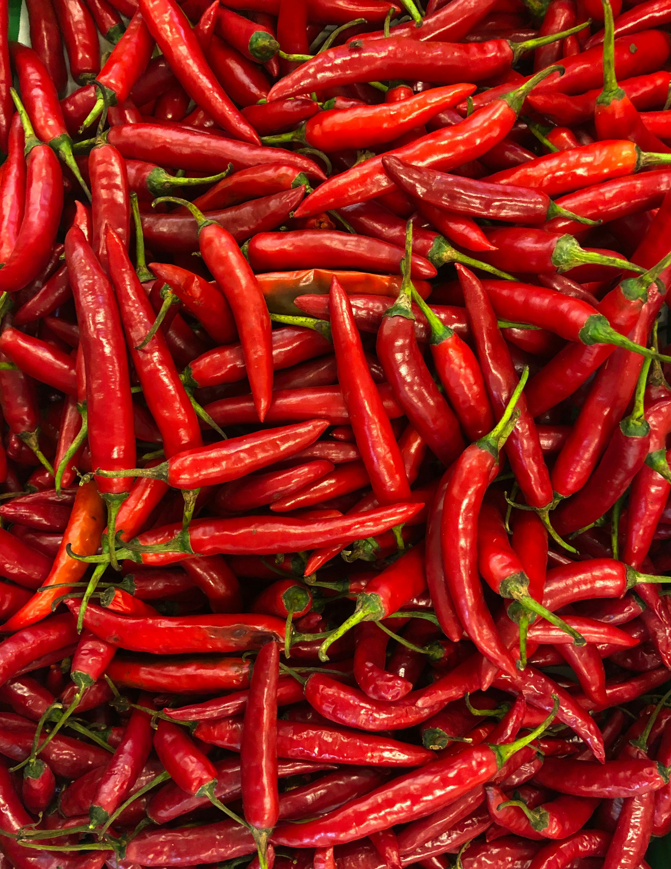 Chilli Photos, BEST Free Red Chilli Photos & HD Images