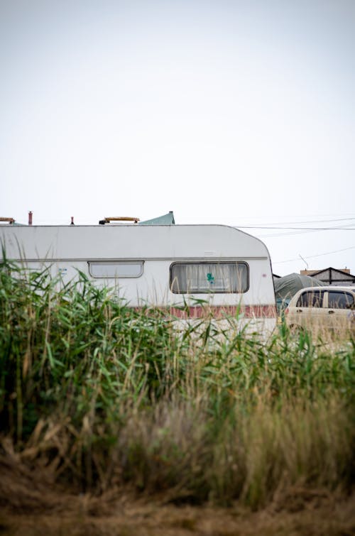 Campervan Parked Near Tall Grass