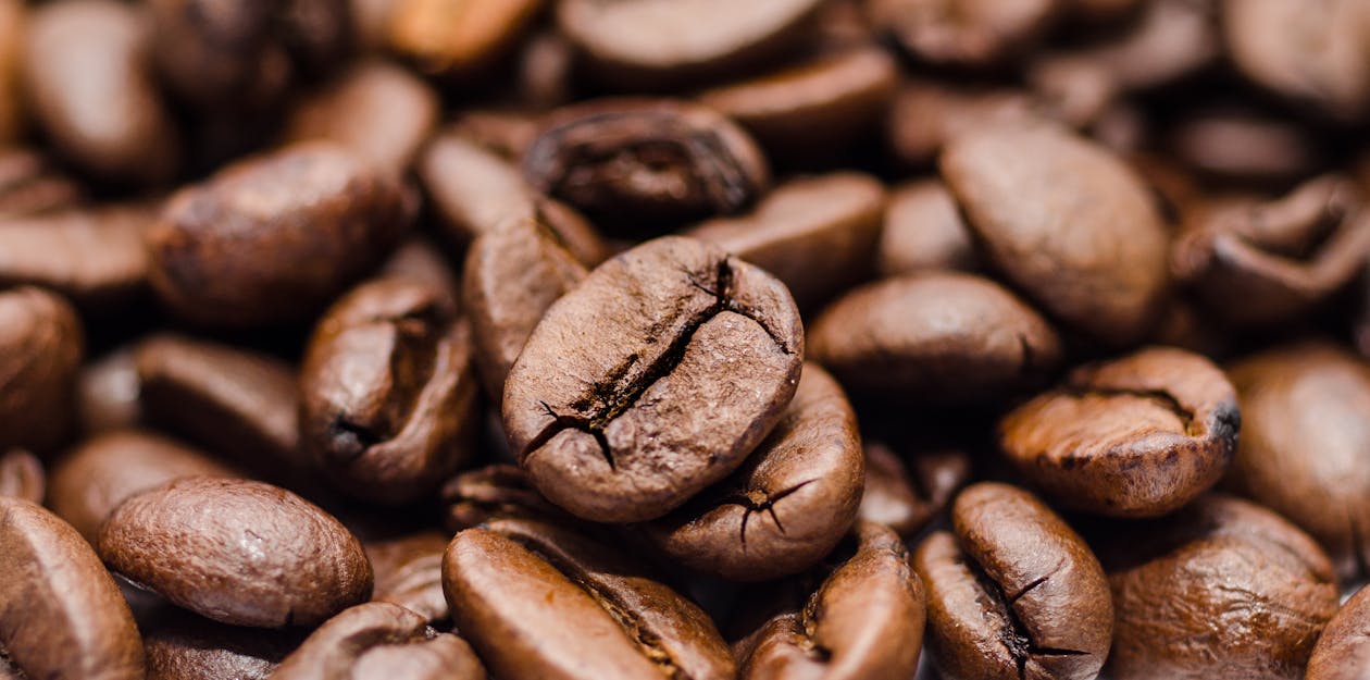 Free Closeup Photography of Coffee Beans Stock Photo