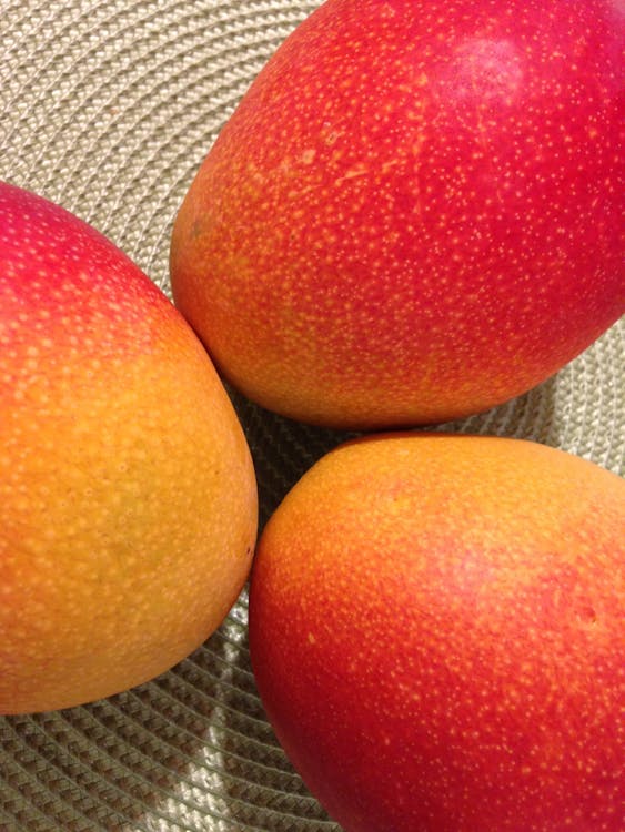 Free Photo of Ripe Mangoes Stock Photo