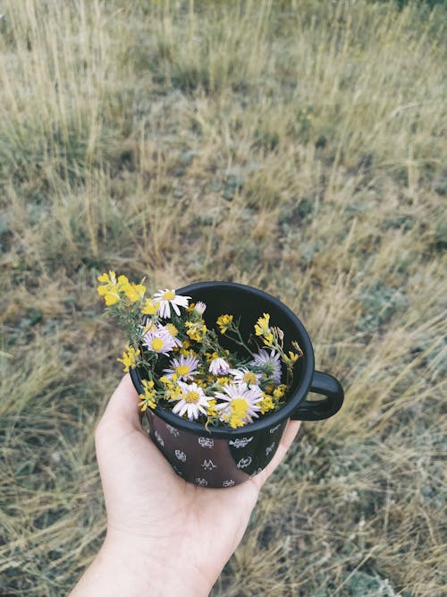 A Person Holding Black and White Mug with Yellow Flowers
