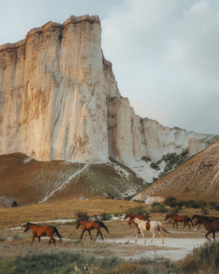 Horses Walking Near A Mountain Under A Cloudy Sky