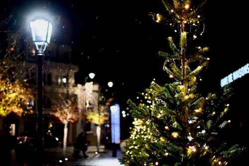 คลังภาพถ่ายฟรี ของ กลางคืน, คริสต์มาส, ต้นคริสต์มาส