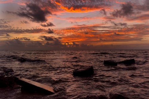 oceanwaves, 墨西哥, 日出 的 免費圖庫相片