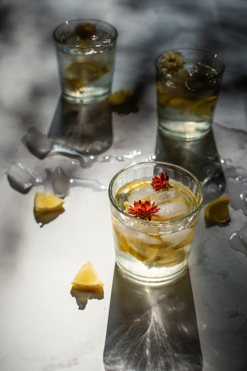 Free Glasses of refreshing lemon and flower-infused drinks with ice cubes. Stock Photo