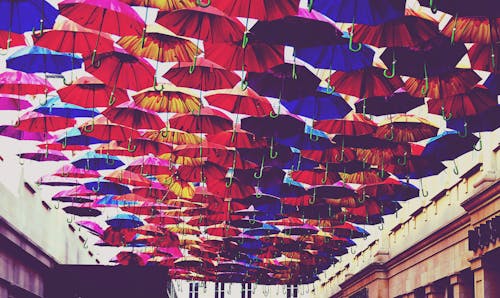 Red, Blue, and Orange Umbrella Lot