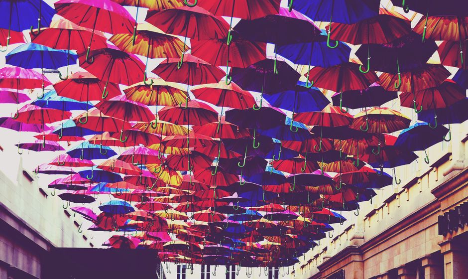 Unique Stock 700+ Best Unique Photos · 100% Free Download · Pexels Stock Photos